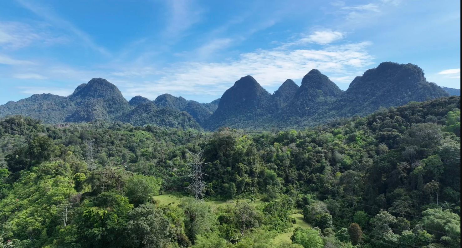 Cagar Alam Batang Pangean I 